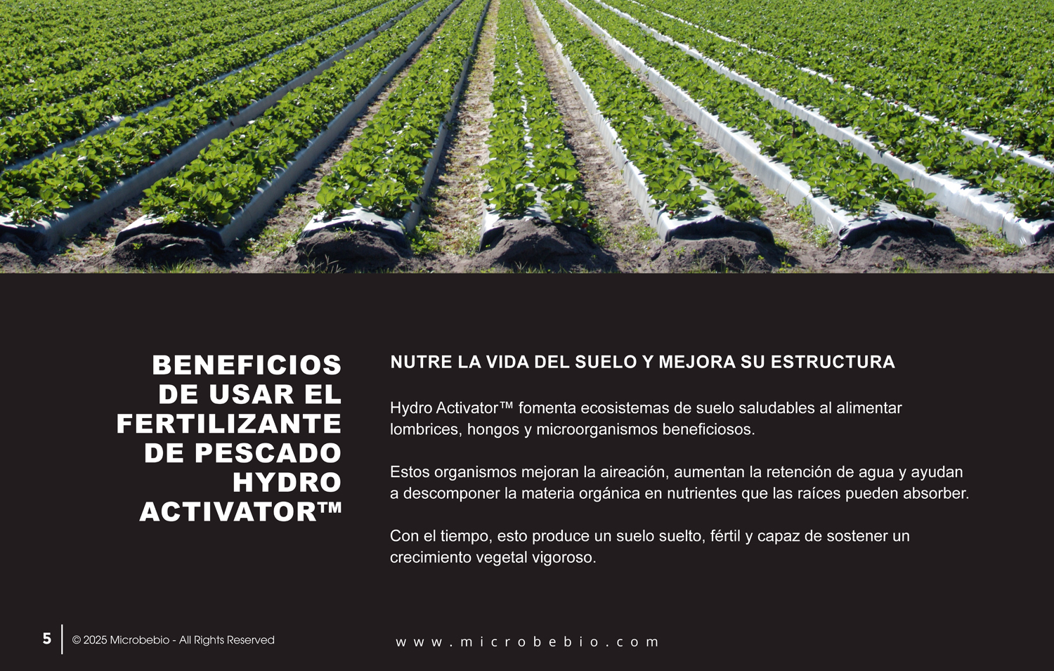 A Fish Fertilizer Rooted in Tradition and Perfected by Science - SPANISH - 05 06 2025_Page_05