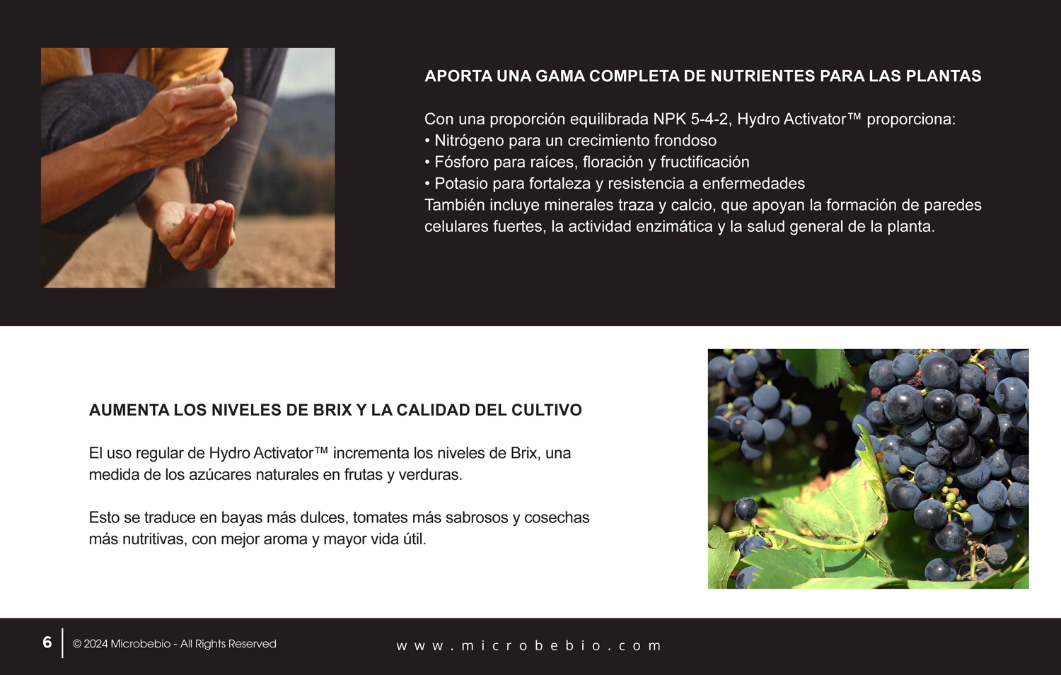 A Fish Fertilizer Rooted in Tradition and Perfected by Science - SPANISH - 05 06 2025_Page_06