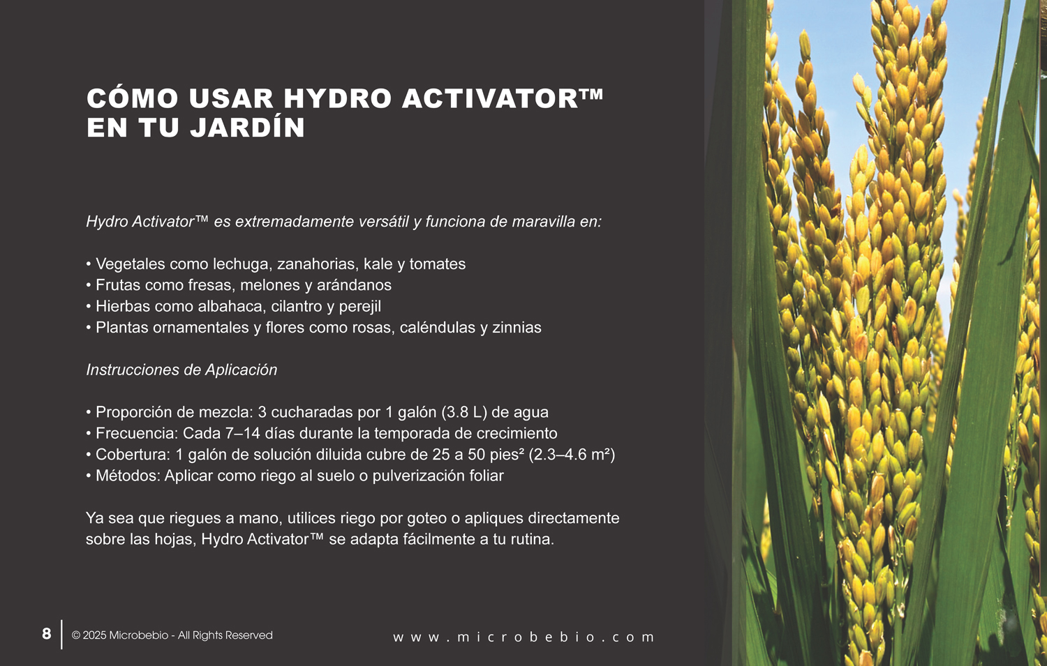 A Fish Fertilizer Rooted in Tradition and Perfected by Science - SPANISH - 05 06 2025_Page_08