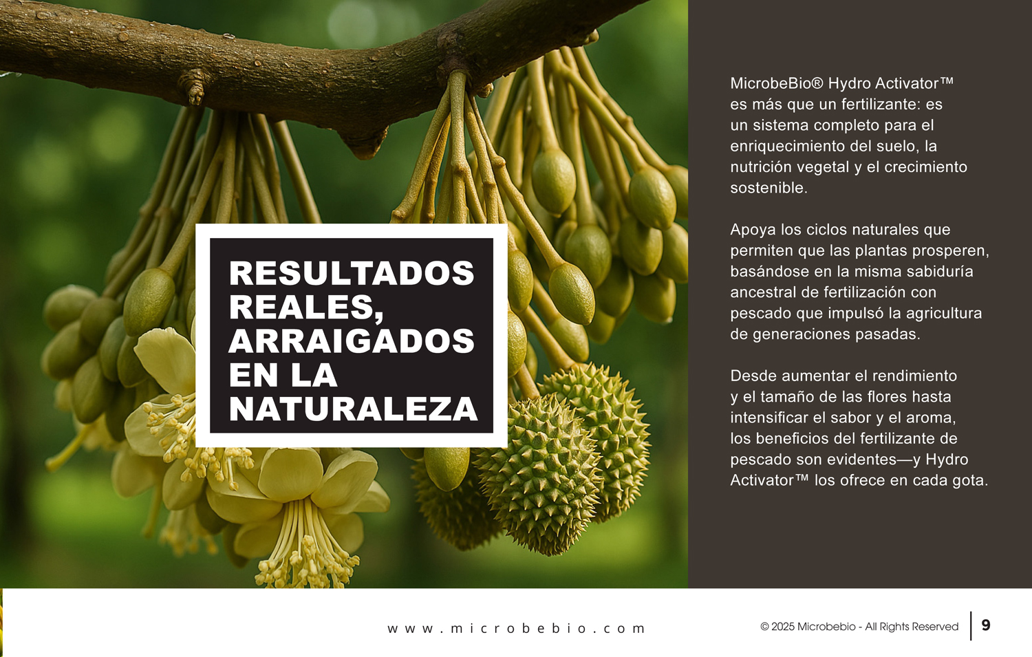 A Fish Fertilizer Rooted in Tradition and Perfected by Science - SPANISH - 05 06 2025_Page_09