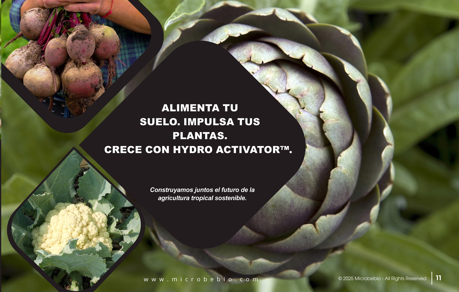 A Fish Fertilizer Rooted in Tradition and Perfected by Science - SPANISH - 05 06 2025_Page_11