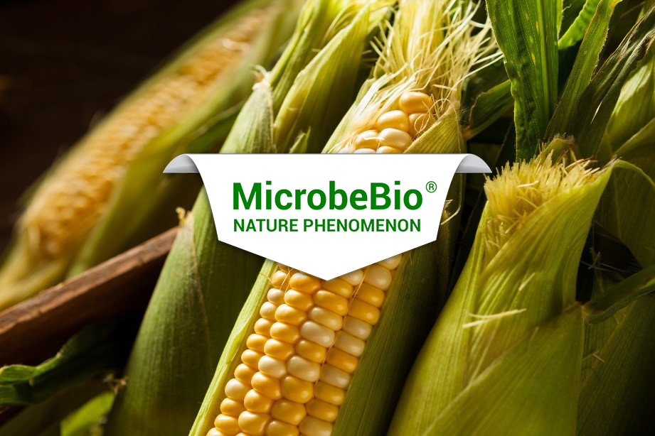 microbebio