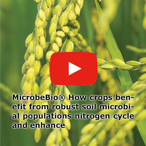 Microbebio microbe fertilizer