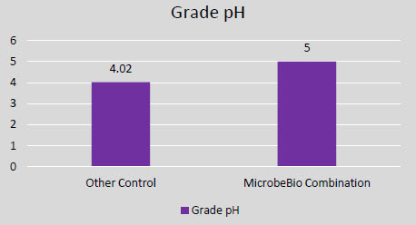 Microbial Fertilizer