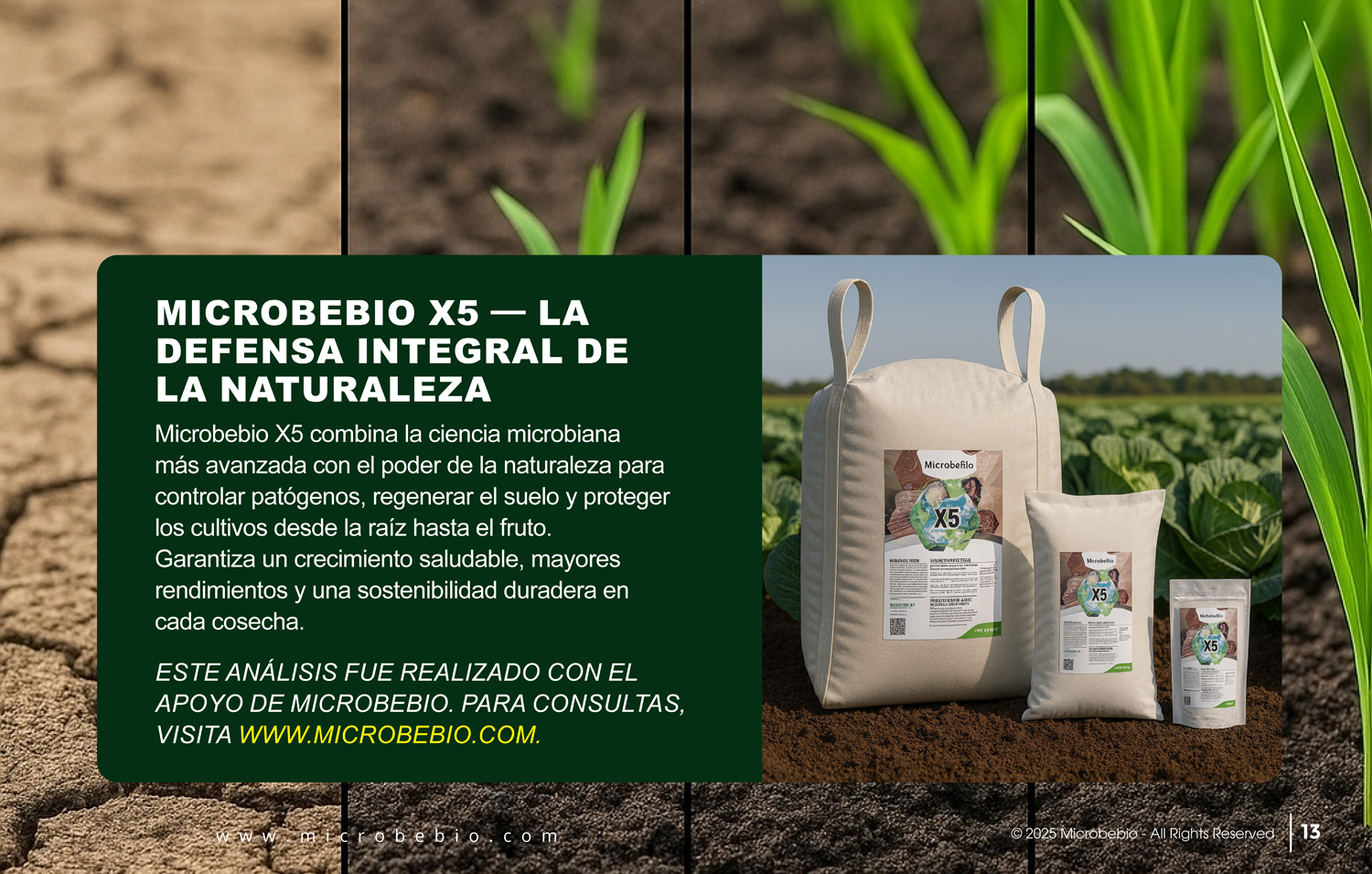 MicrobeBio X5-Advanced Biological Defense Against Plant Pathogens and Fungal Diseases - SPANISH - 10 29 25_Page_13