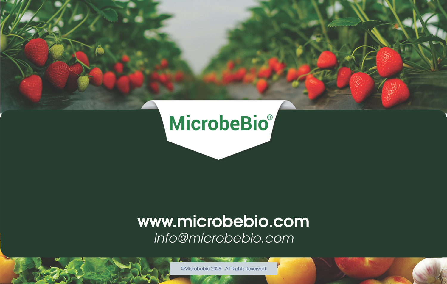 MicrobeBio X5-Advanced Biological Defense Against Plant Pathogens and Fungal Diseases - SPANISH - 10 29 25_Page_15