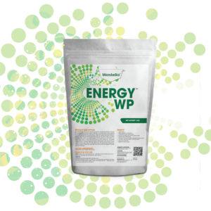 MICROBEBIO ENERGY LIQUID WEB