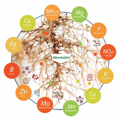 Microbebio Sustainable Regenerative and Carbon Farming 5