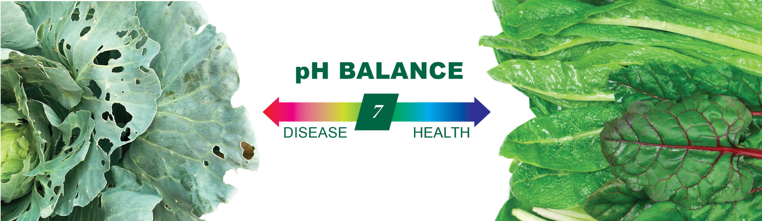 HOW SOIL PH AFFECTS ABAILABILITY OF PLANT NUTRIENTS