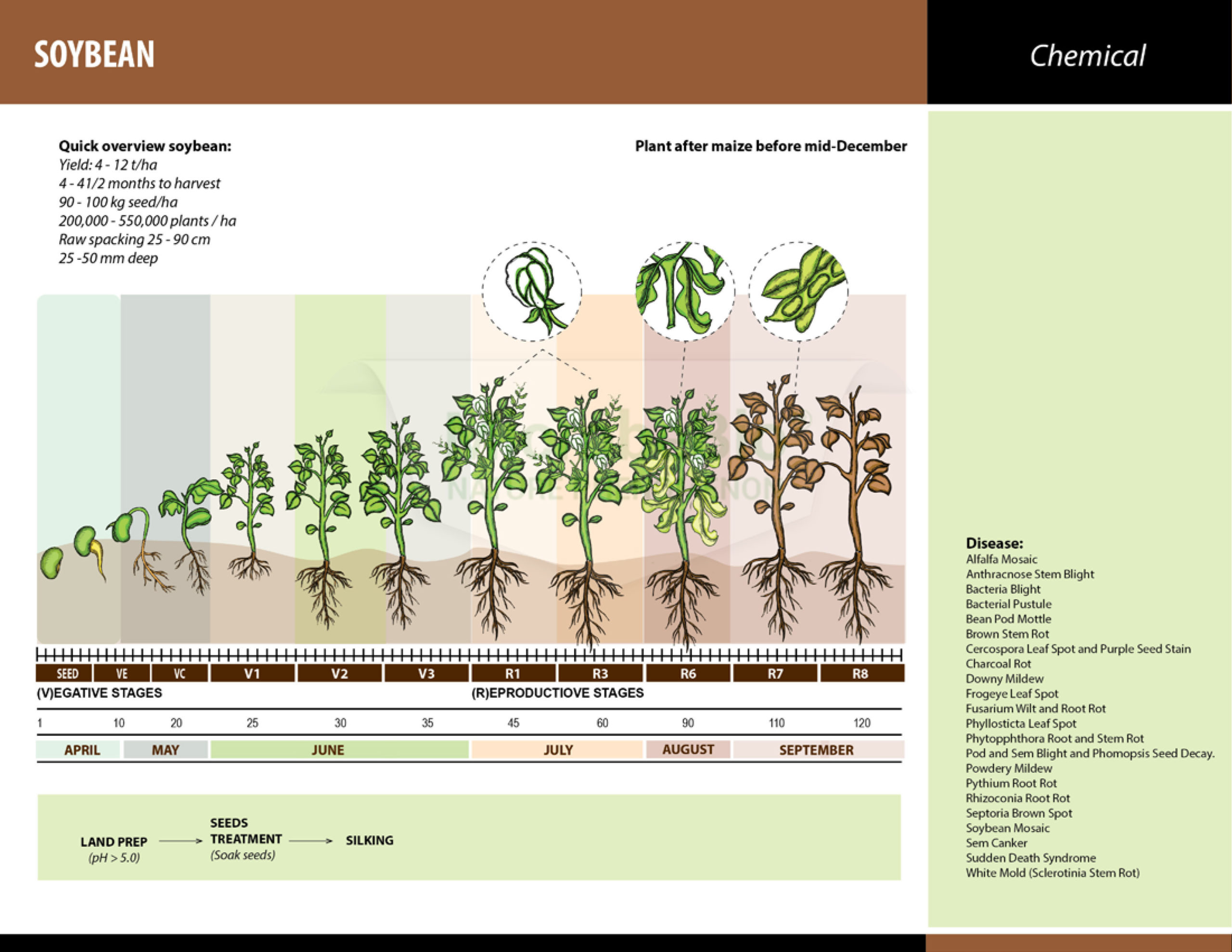 MICROBEBIO Soybean application Microbe fertilizer