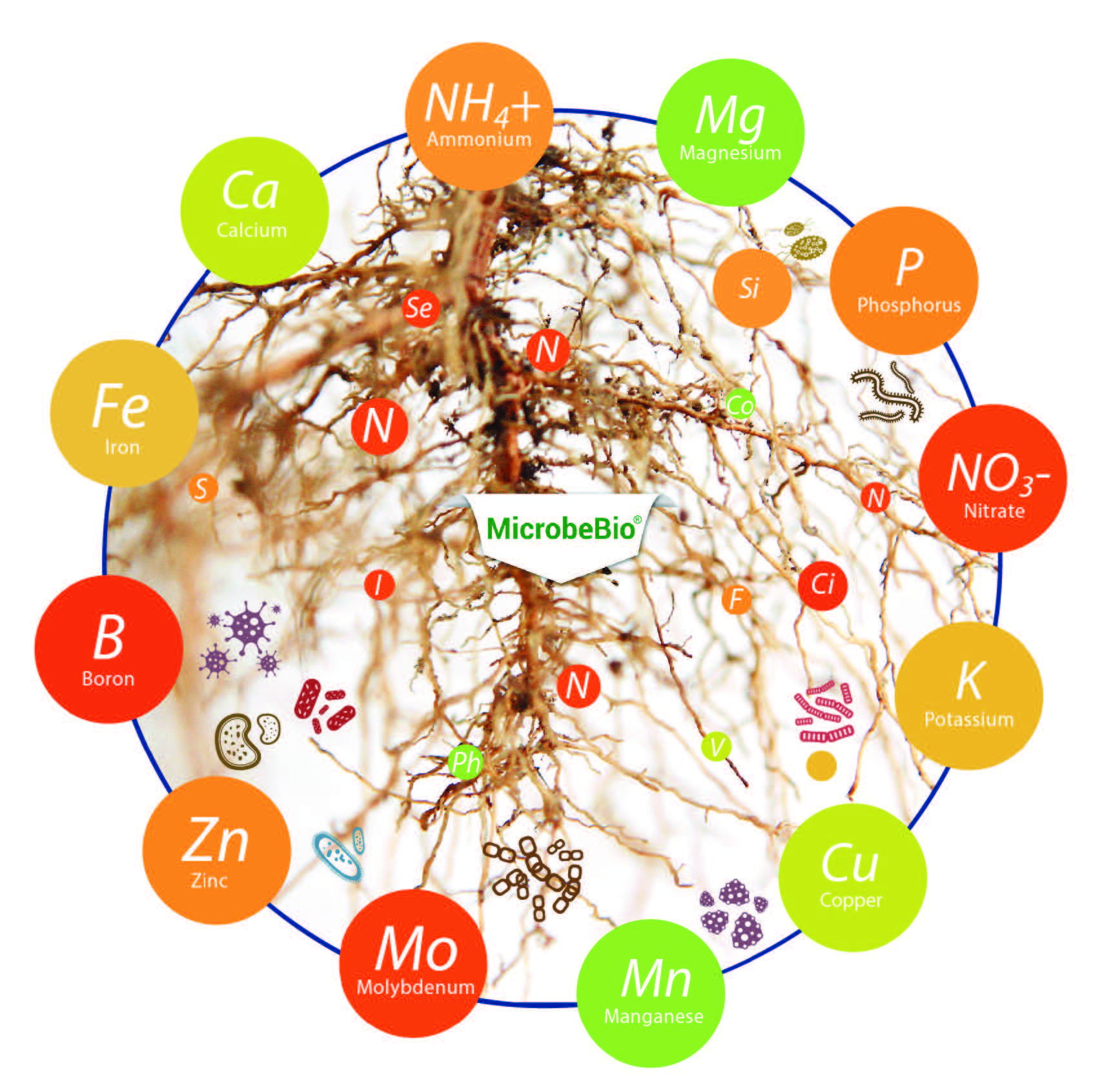 MICROBEBIO sustainable farming practices