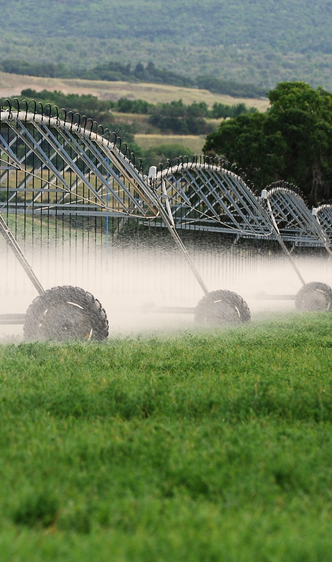 MICROBEBIO sustainable farming practices