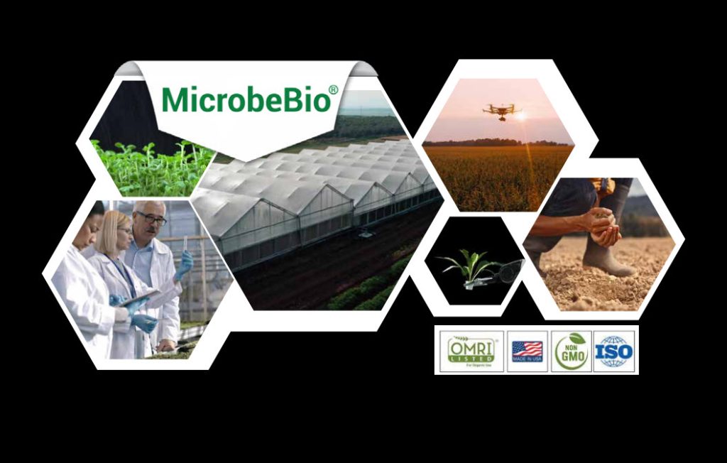 MicrobeBio - Dando Forma al Futuro de la Agricultura Sostenible