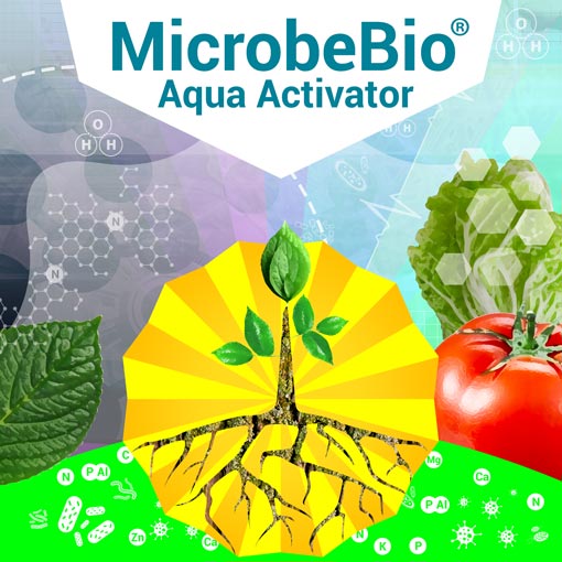 MicrobeBio® Aqua Activator™: Potenciando el Crecimiento de las Plantas, el Sabor, el Aroma y la Absorción de Nutrientes