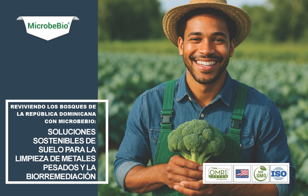 Reviviendo los bosques de la República Dominicana con MicrobeBio:  Soluciones sostenibles de suelo para la limpieza de metales pesados y la biorremediación