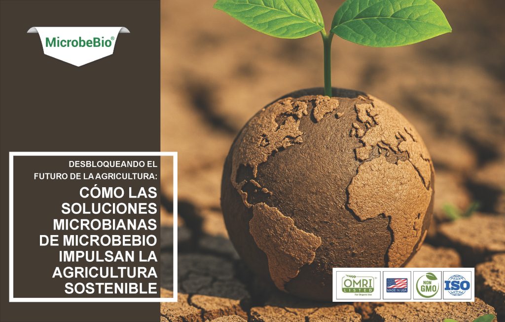 Desbloqueando el Futuro de la Agricultura: Cómo las Soluciones Microbianas de MicrobeBio Impulsan la Agricultura Sostenible