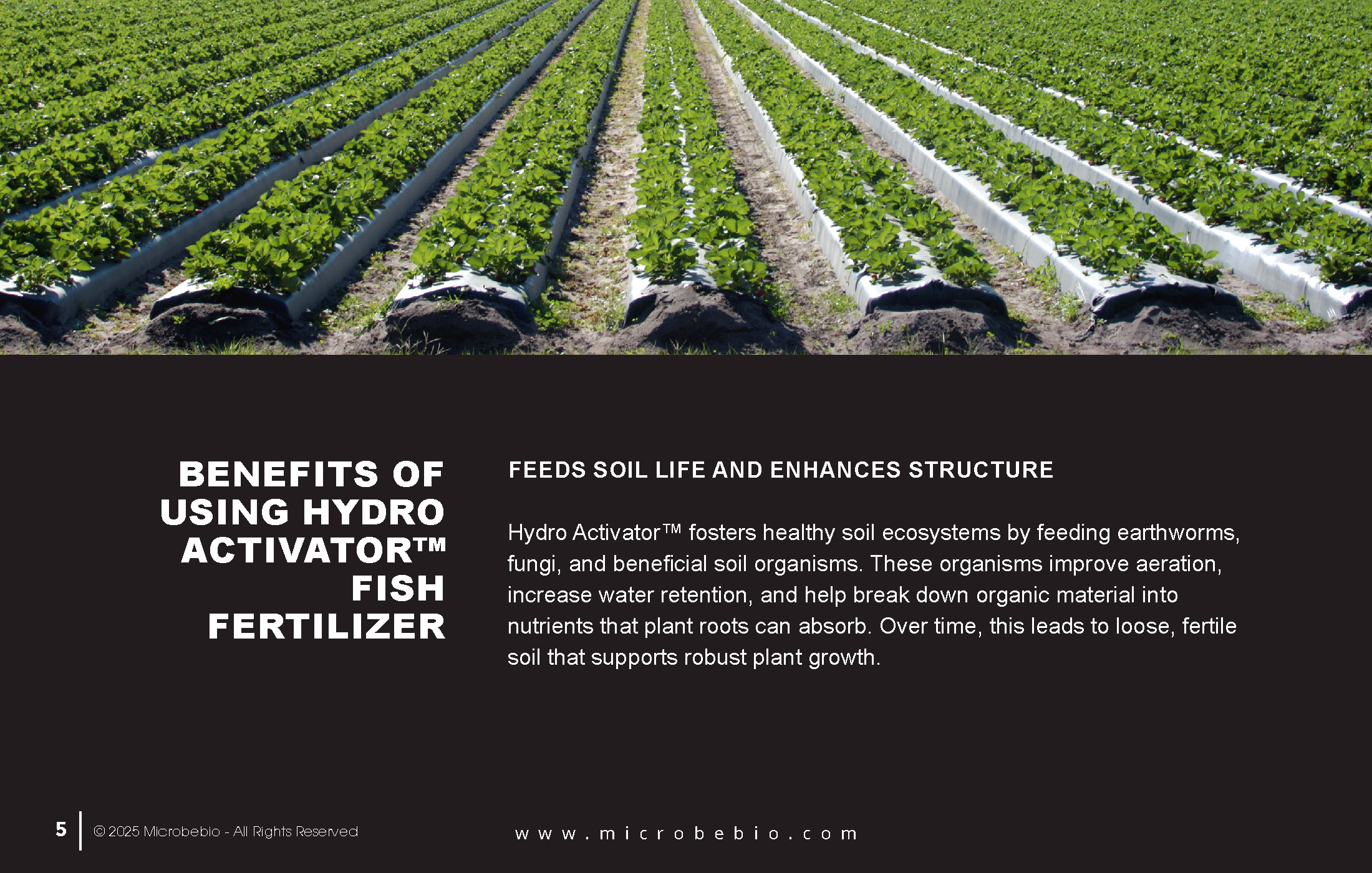 A Fish Fertilizer Rooted in Tradition and Perfected by Science_Page_05