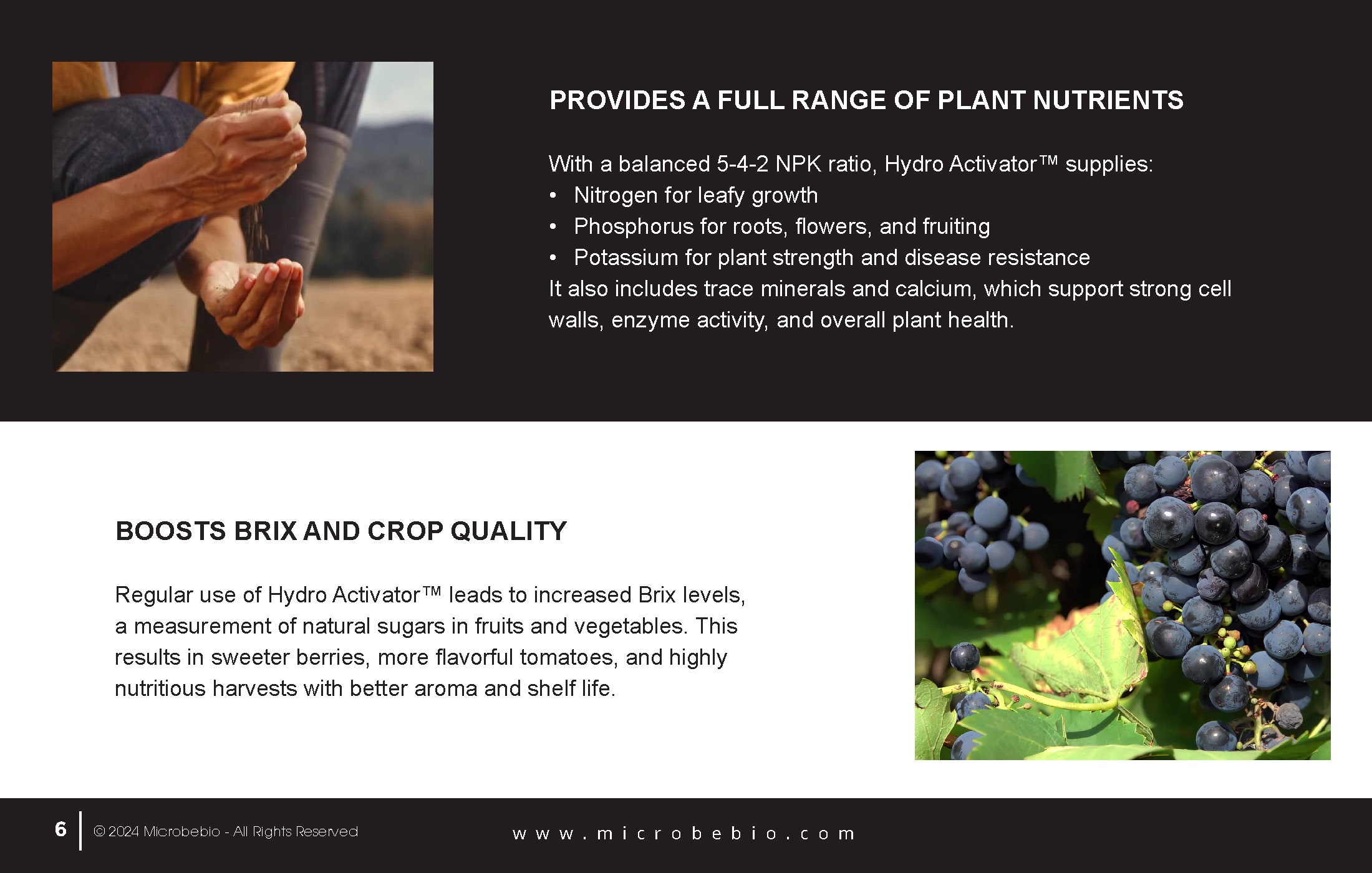 A Fish Fertilizer Rooted in Tradition and Perfected by Science_Page_06