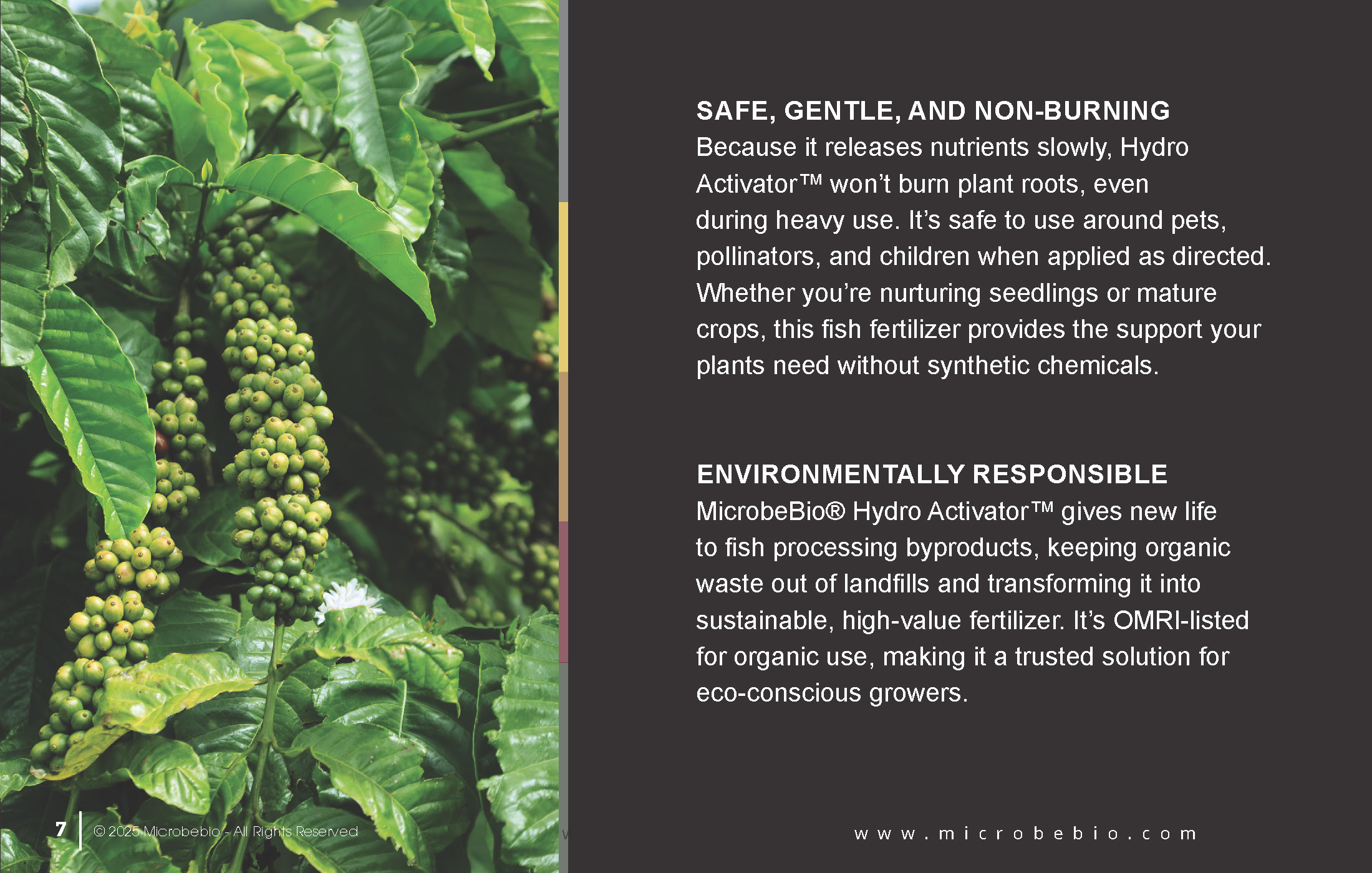 A Fish Fertilizer Rooted in Tradition and Perfected by Science_Page_07