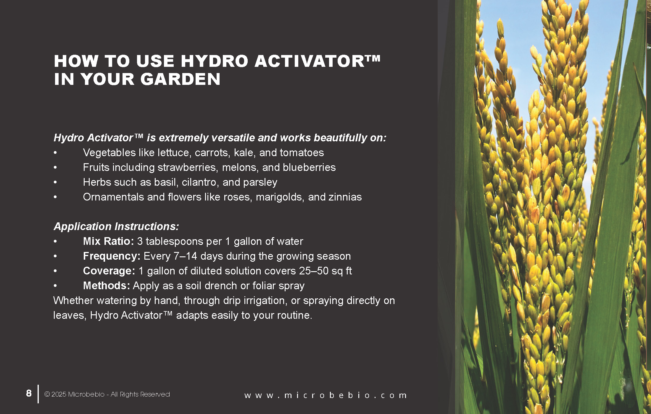 A Fish Fertilizer Rooted in Tradition and Perfected by Science_Page_08