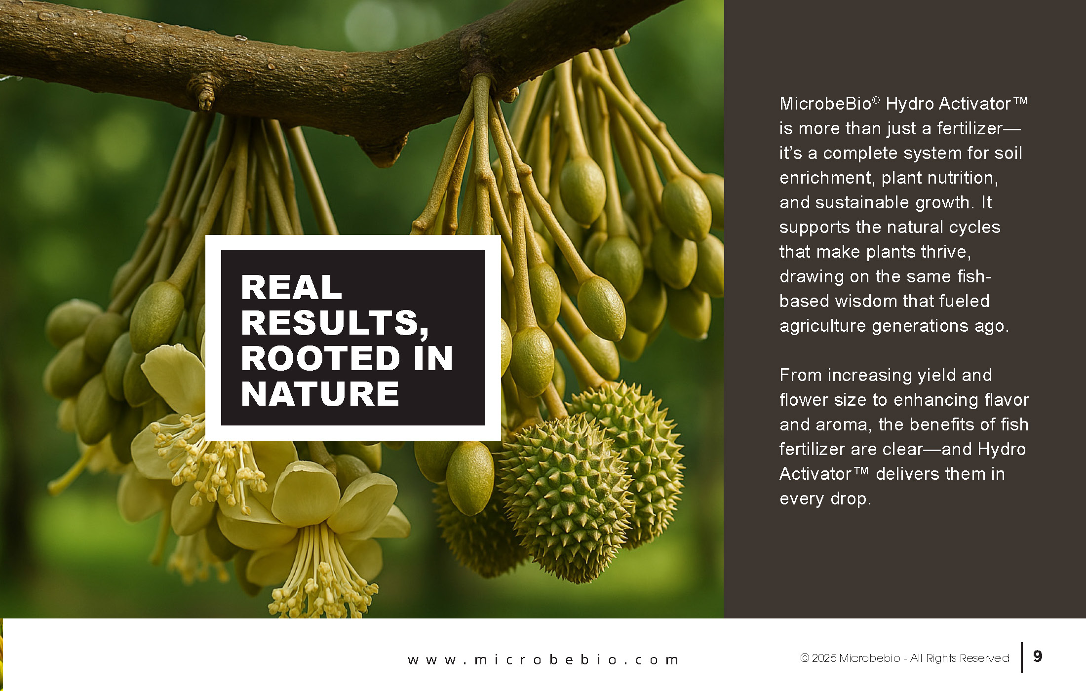 A Fish Fertilizer Rooted in Tradition and Perfected by Science_Page_09