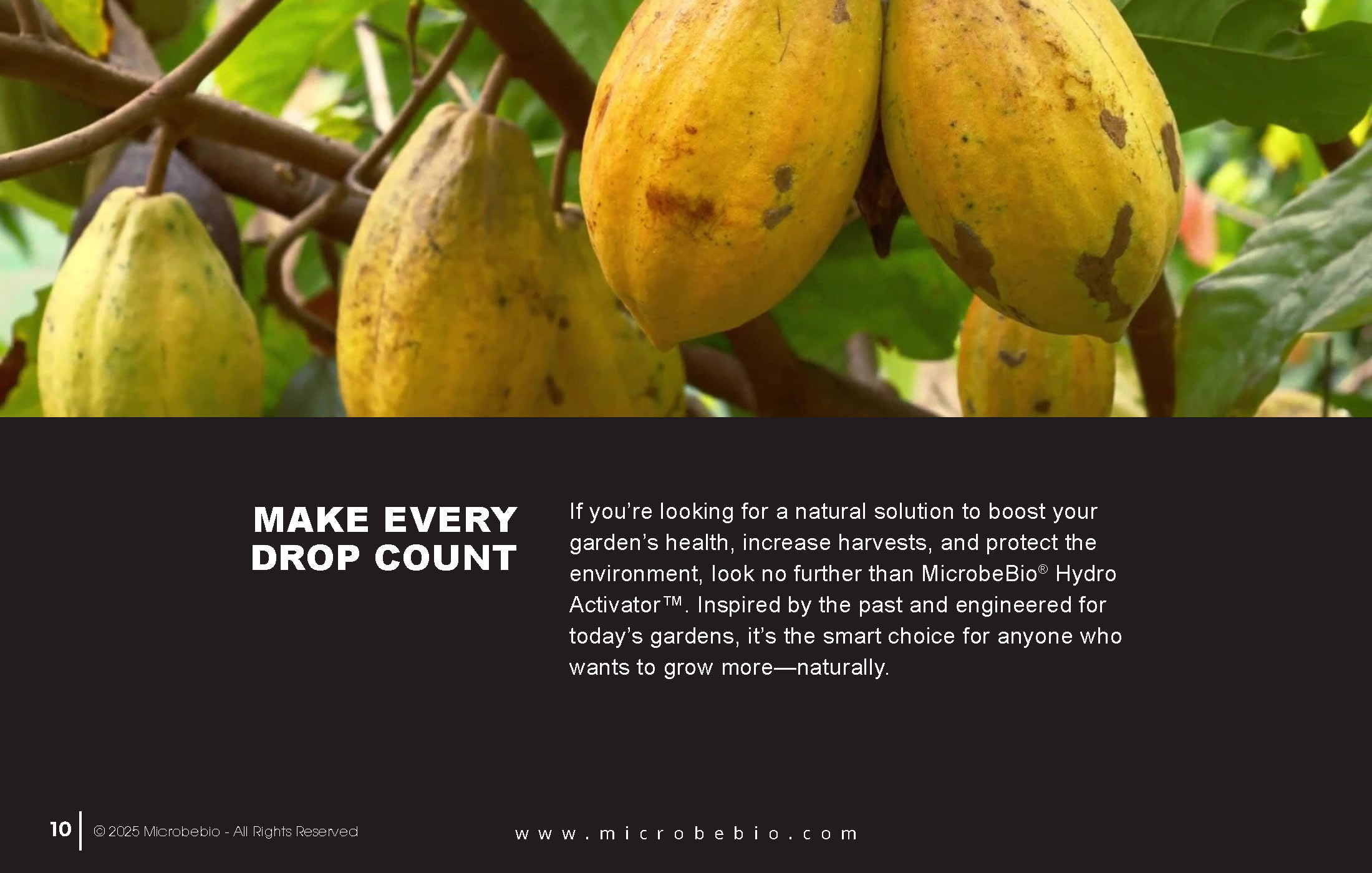 A Fish Fertilizer Rooted in Tradition and Perfected by Science_Page_10