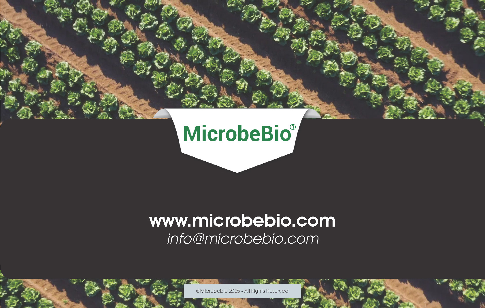A Fish Fertilizer Rooted in Tradition and Perfected by Science_Page_12