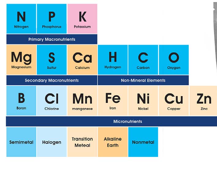 MICROBEBIO - HYDRO ACTIVATOR2