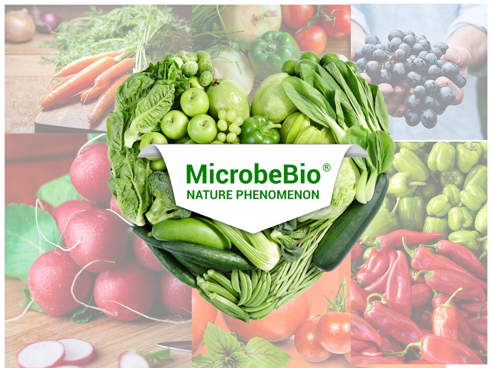 Microbebio