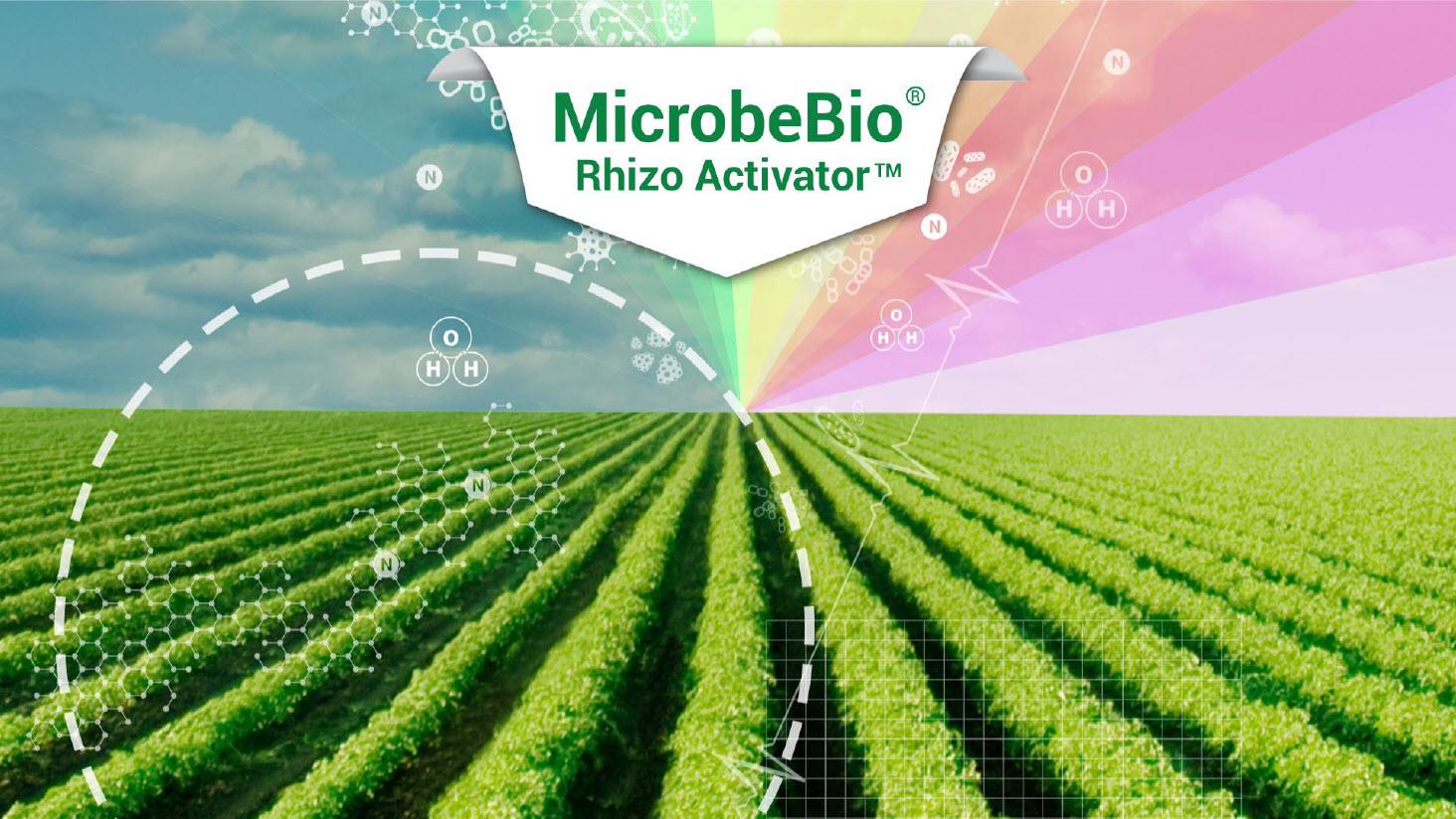 MICROBEBIO Rhizo fertilizer microbe fertilizer Rhizo fertilizer