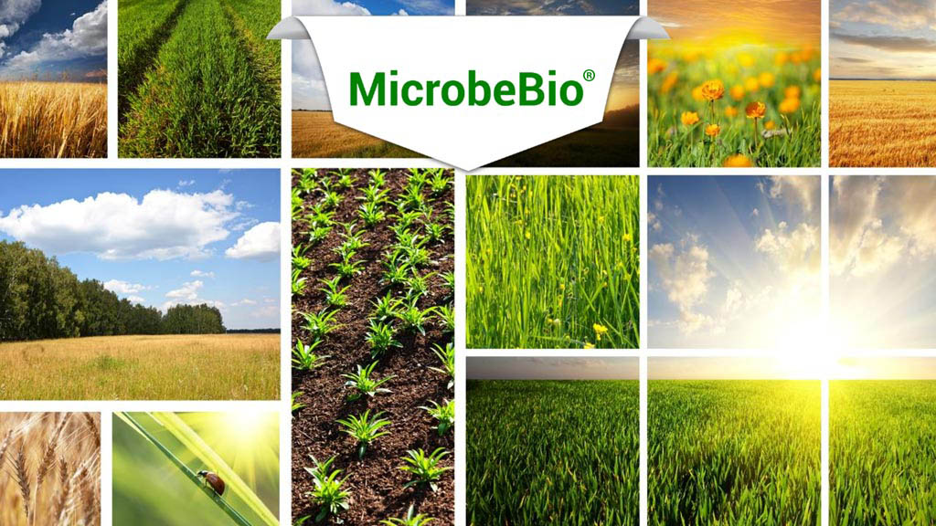 Microbebio Liquid Fertilizers