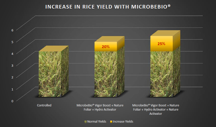 Microbebio Rice Trial Test