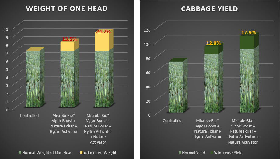 Microbebio Cabbage Trial Test