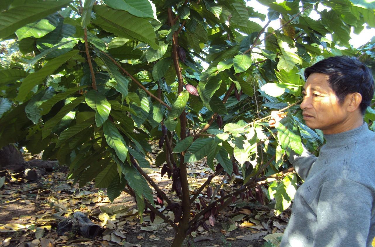 Microbebio Coffee Trial Test