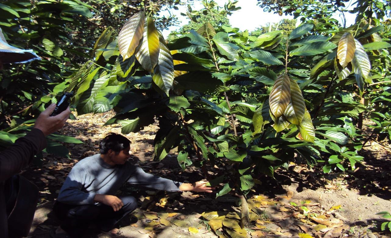 Microbebio Coffee Trial Test