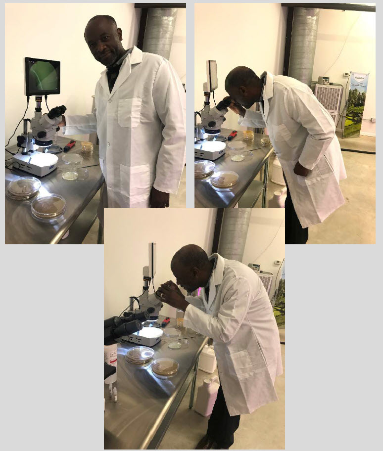 Microbebio-Trial Test