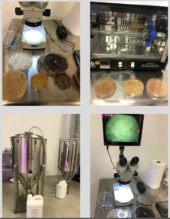 Microbebio-Trial Test Houston Texas