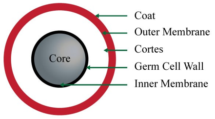Microbebio Microbe Core