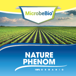 MicrobeBio® Nature Phenom Phenom is an all-organic bio fertilizer
