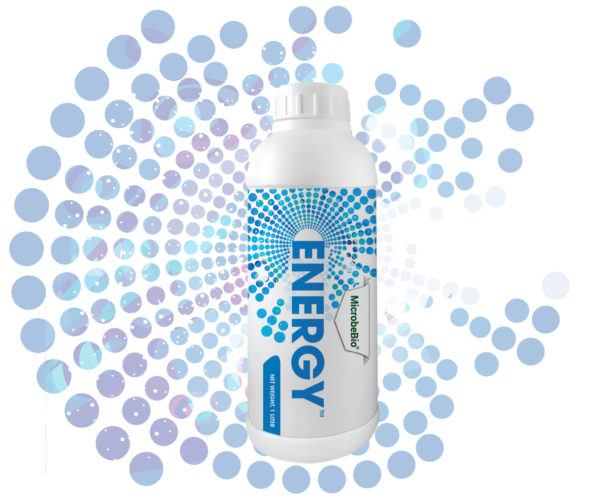 MICROBEBIO ENERGY LIQUID WEB