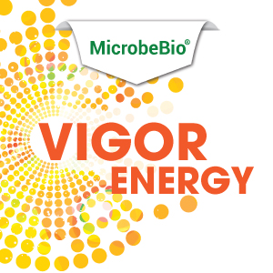 MICROBEBIO VIGOR ENERGY