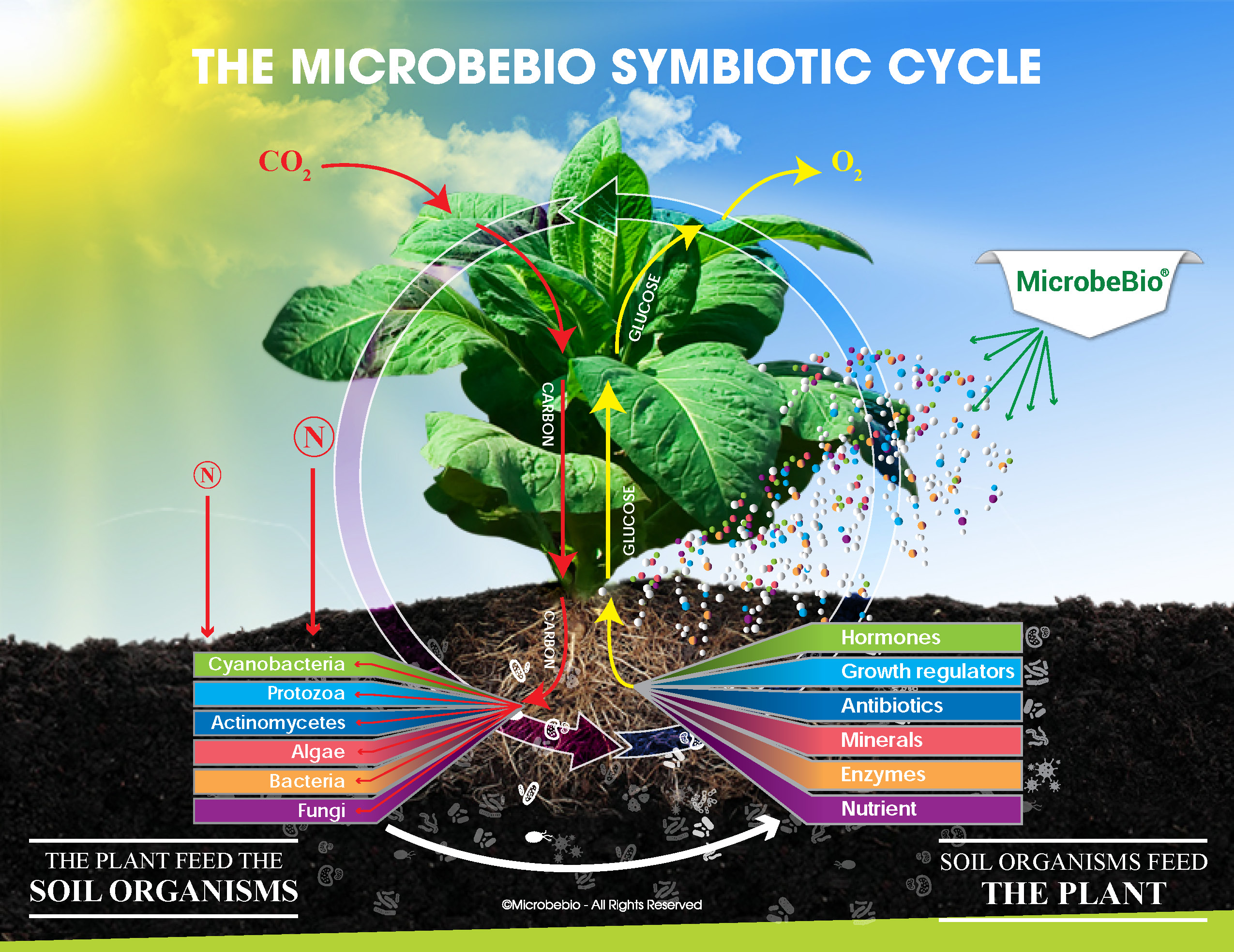 Microbebio Microbial Fertilizer Microbe Organic fertilizer