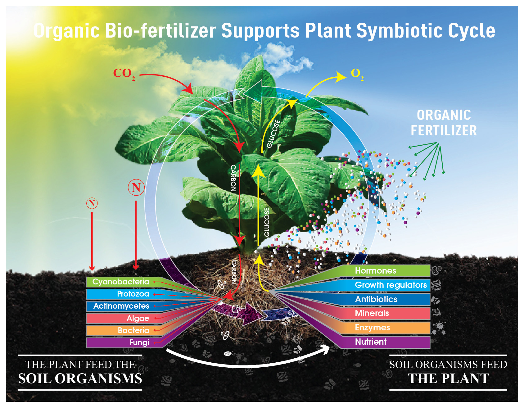 nano fertilizer, nano pesticide, nano fungicide