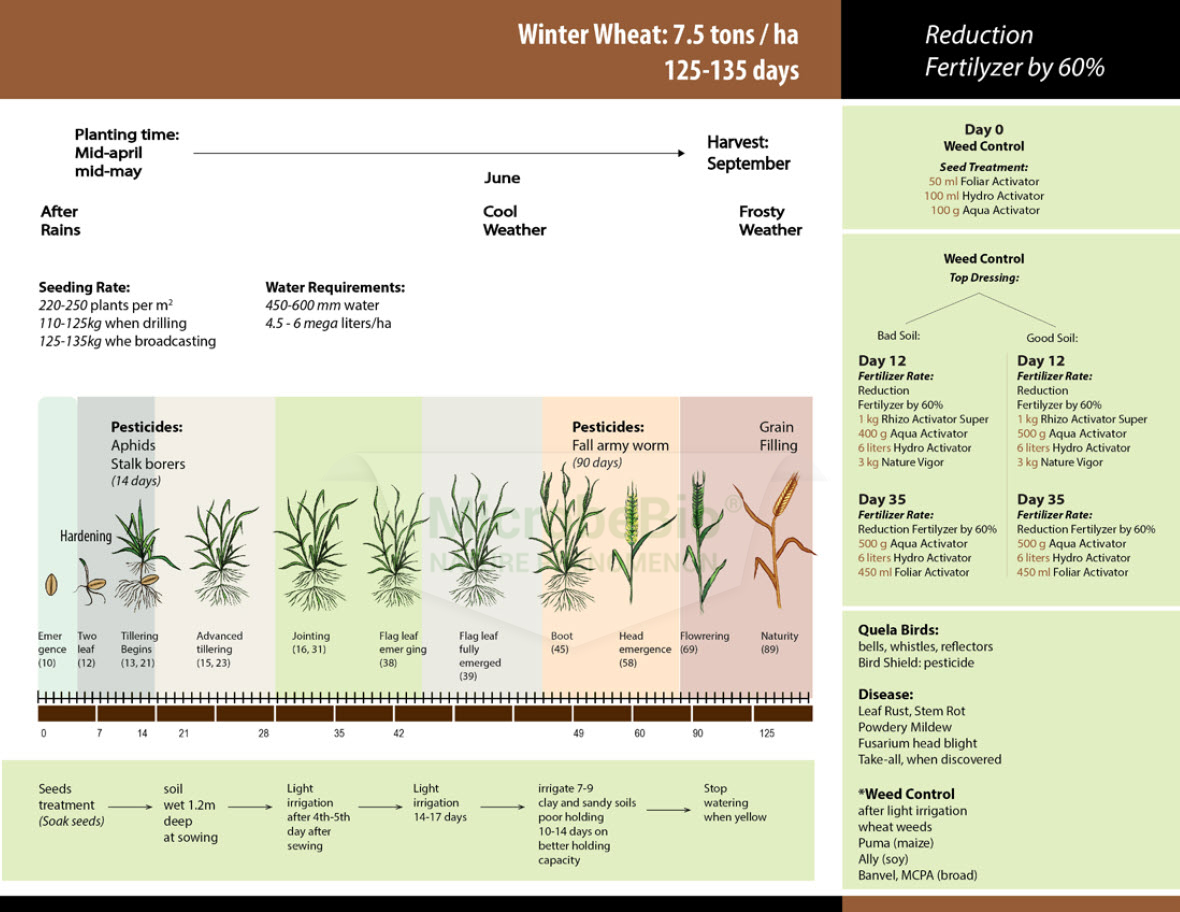 Microbebio Application for Wheat 2