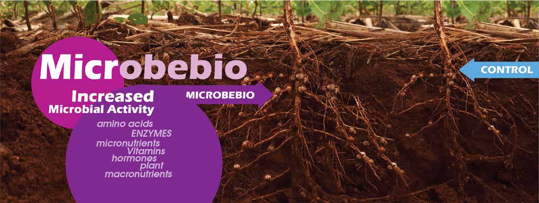 Microbebio Sustainable Regenerative and Carbon Farming 10