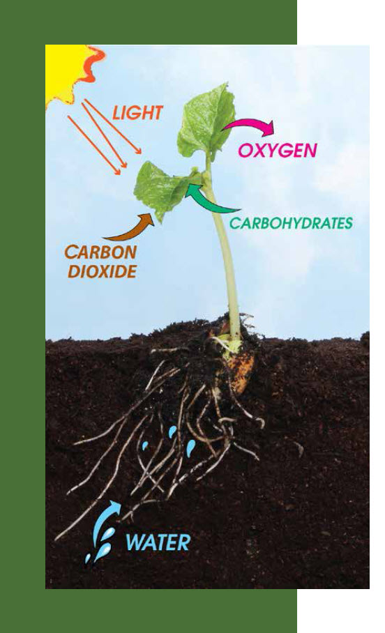 Microbebio Sustainable Regenerative and Carbon Farming