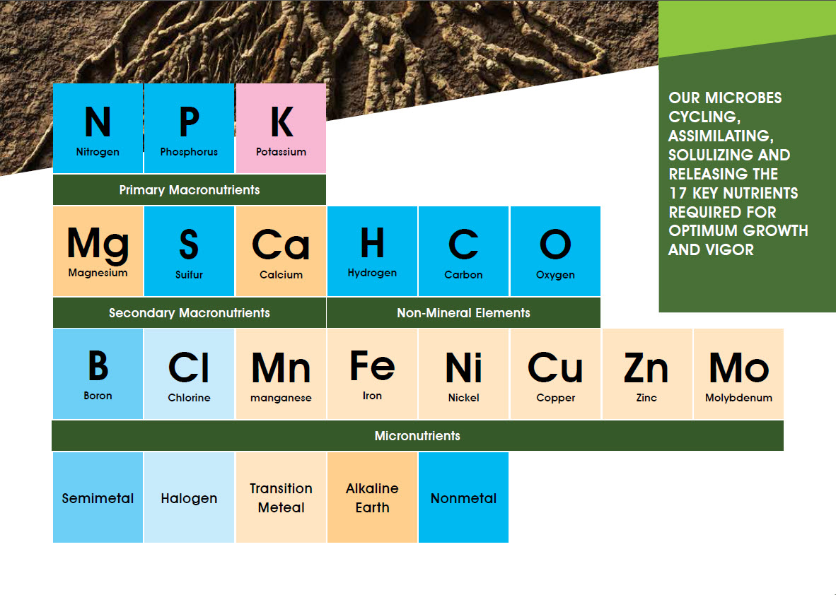 Microbebio Sustainable Regenerative and Carbon Farming 8