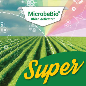 MICROBEBIO Rhizo Activator