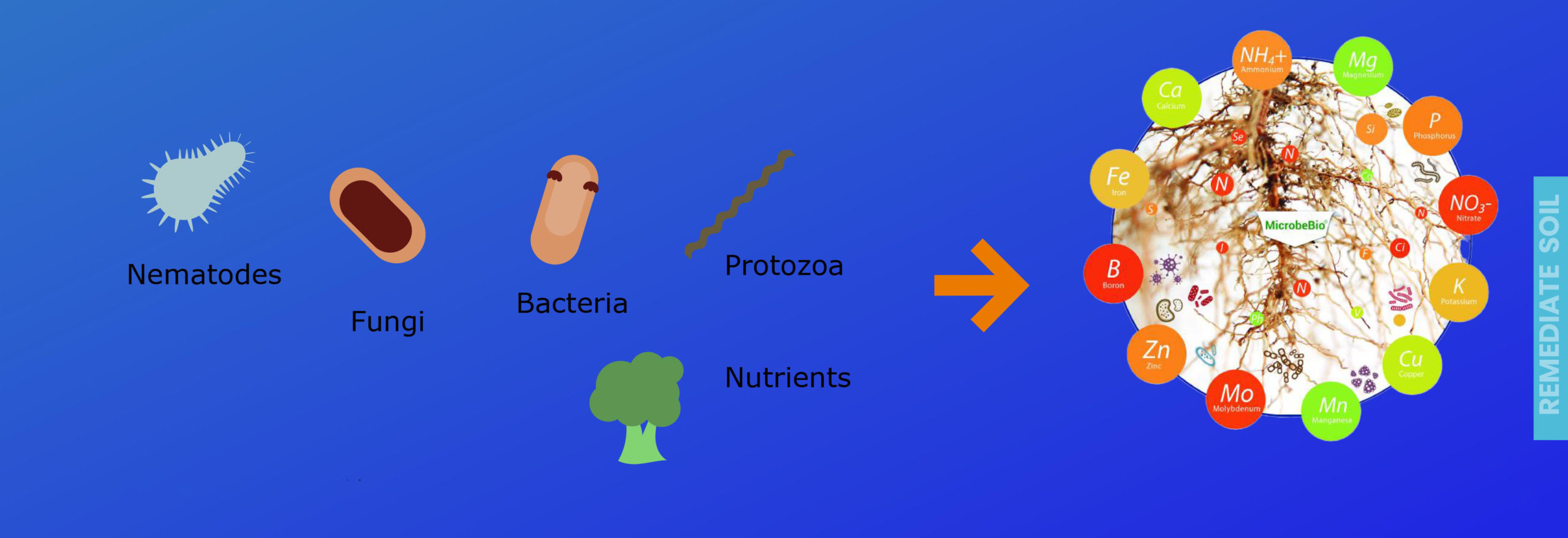 MicrobeBio