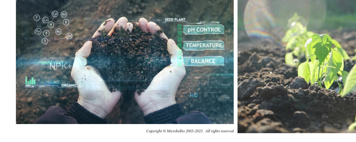 MICROBEBIO sustainable farming practices